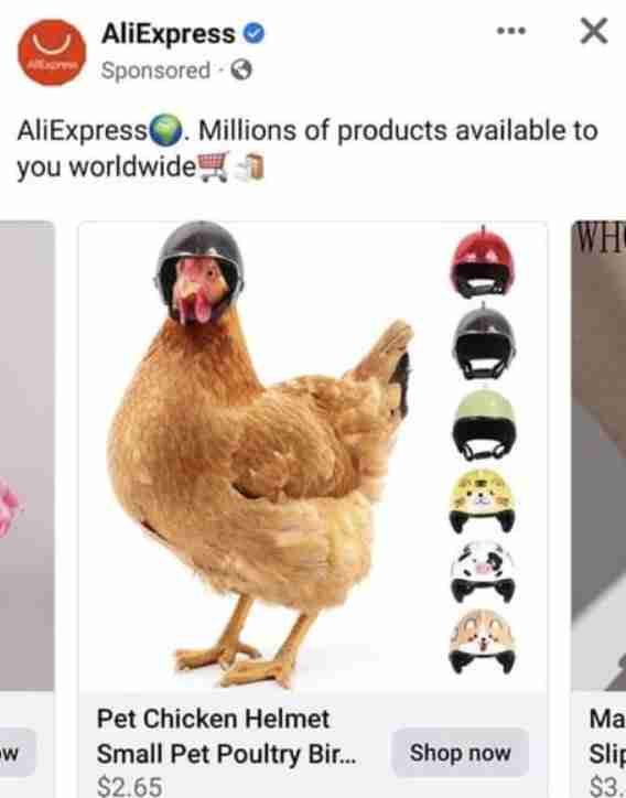 Chicken helmet meme
