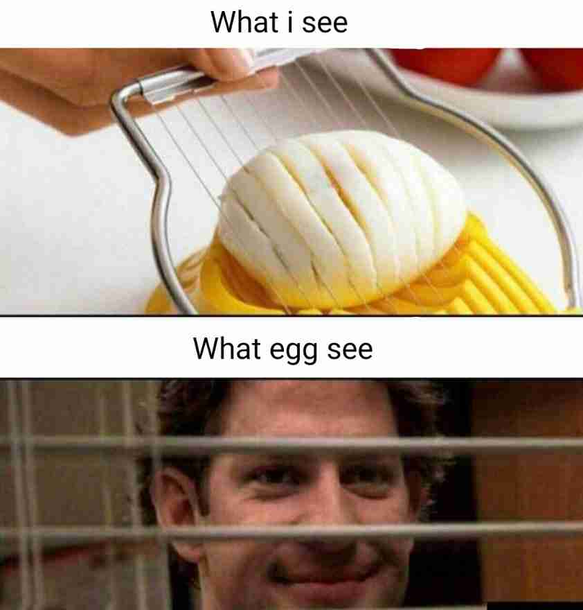 Egg slicer meme